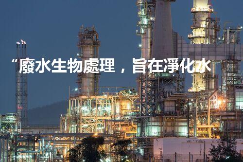 “廢水生物處理，旨在凈化水源，守護(hù)碧水藍(lán)天”